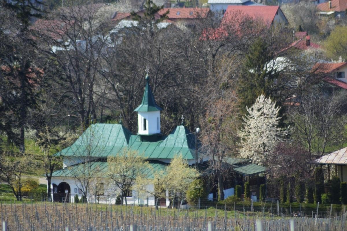 Părintele Hrisostom Dănilă, un rugător pentru cetate 213731