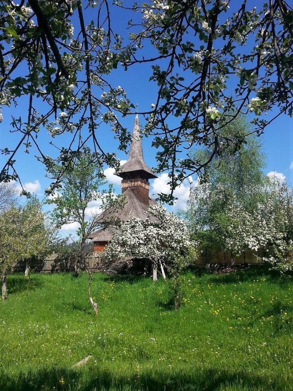 Un vis împlinit și gura de rai a schitului de la Moieciu 214268