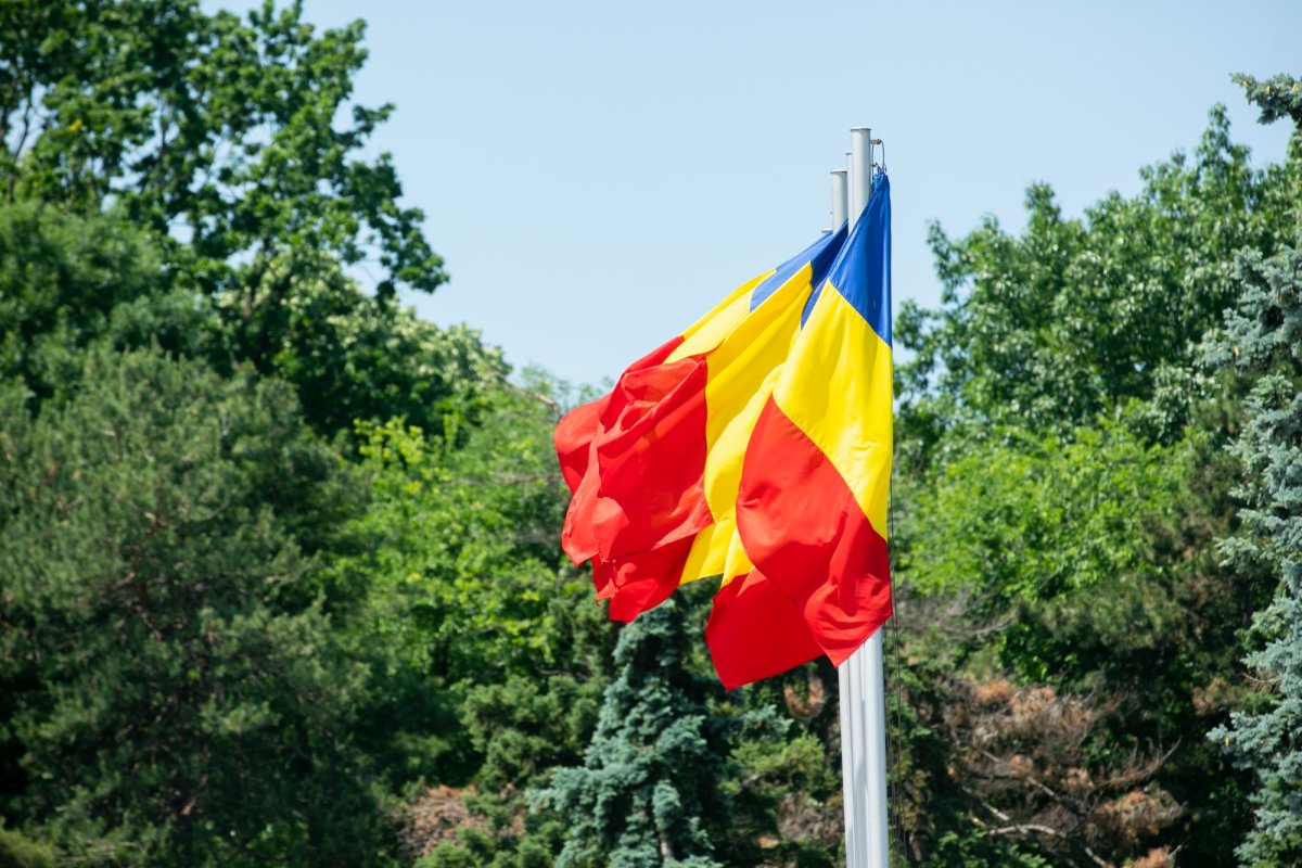 Ceremonii militare dedicate Zilei Eroilor în București 216244