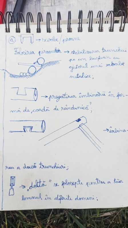 „După 1990, bisericile de lemn au fost pur şi simplu uitate” 216743