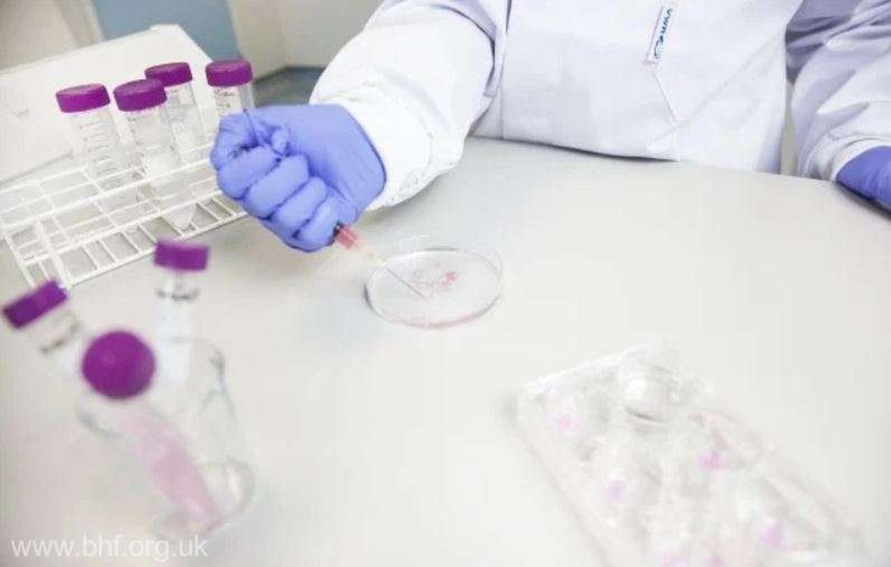 Gel-tratament după atac de cord 217650