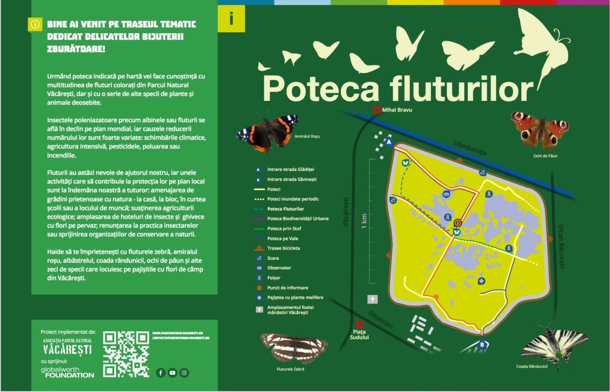 „Şcoala vie” din Parcul Văcăreşti 217731