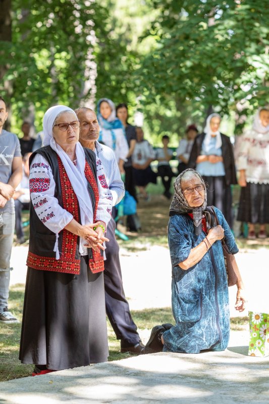 Zi de hram la Mănăstirea Căldărușani  218169