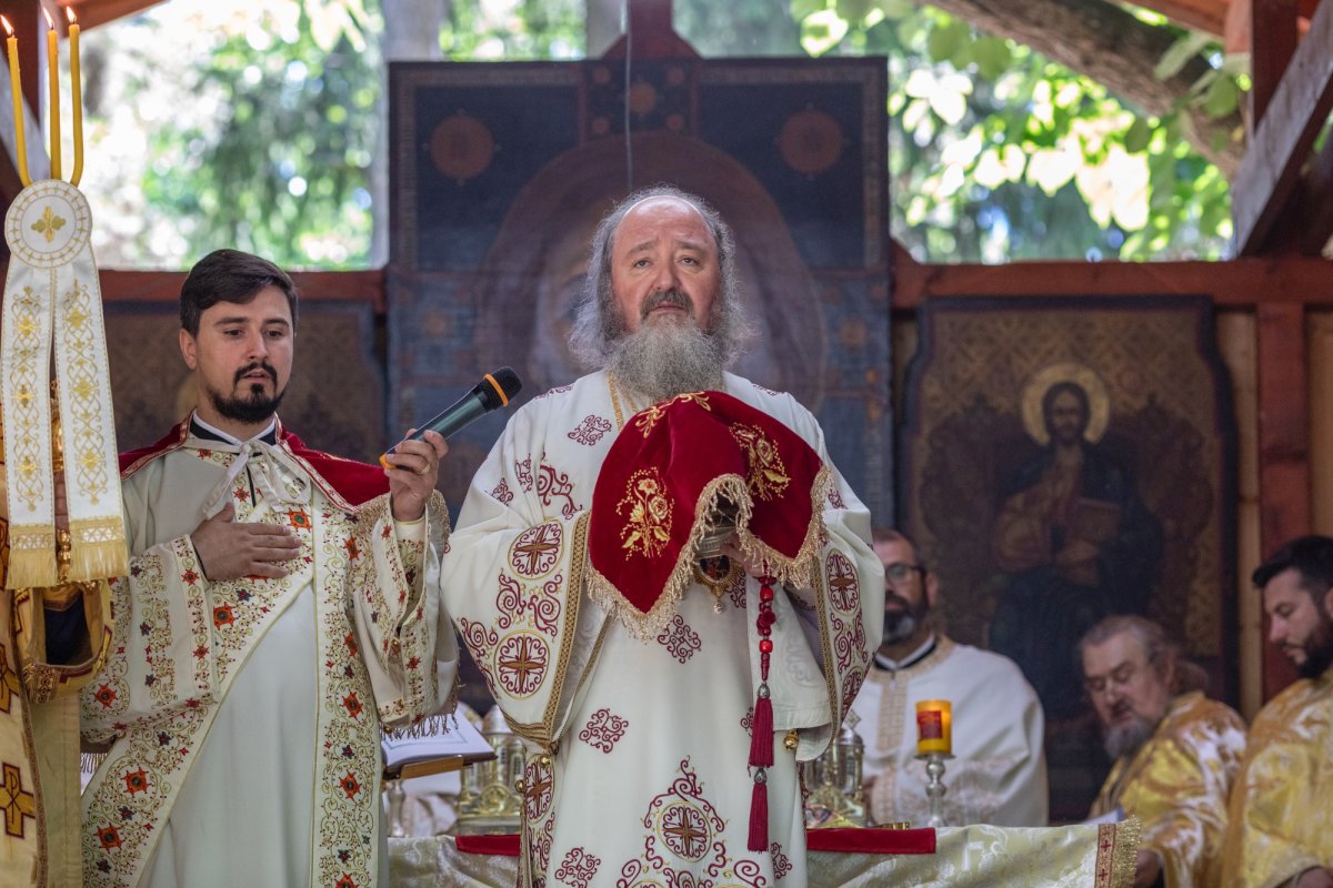 Zi de hram la Mănăstirea Căldărușani  218174