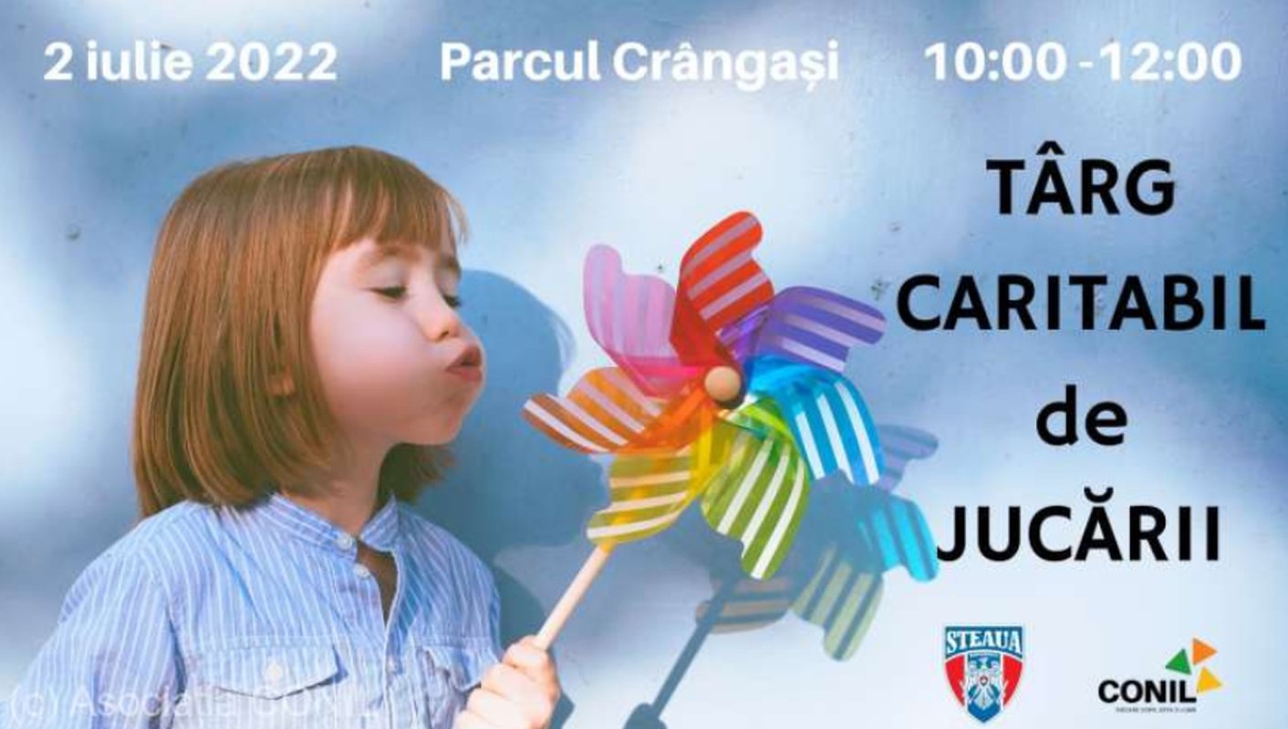 Târg caritabil de jucării 218289