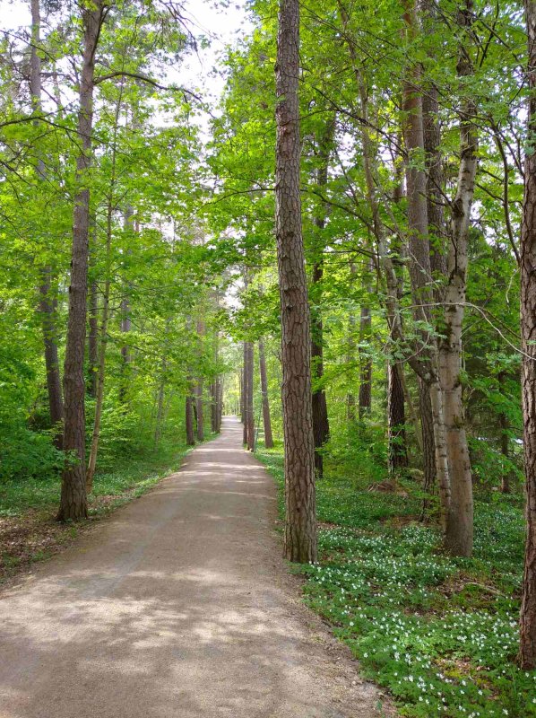 Din Uppsala, cu drag 219655