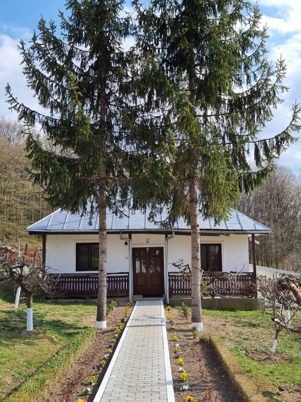 Părintele Mihail de la Buciumeni, sau despre rugăciune şi muncă 219344