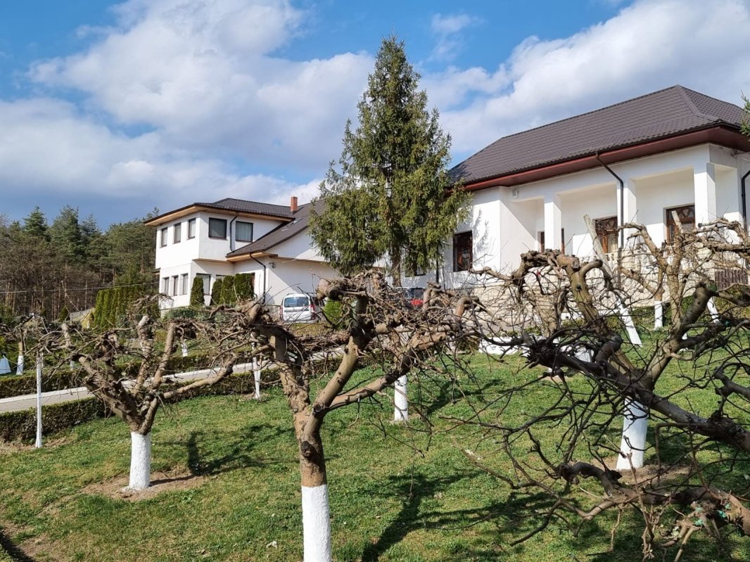 Părintele Mihail de la Buciumeni, sau despre rugăciune şi muncă 219348