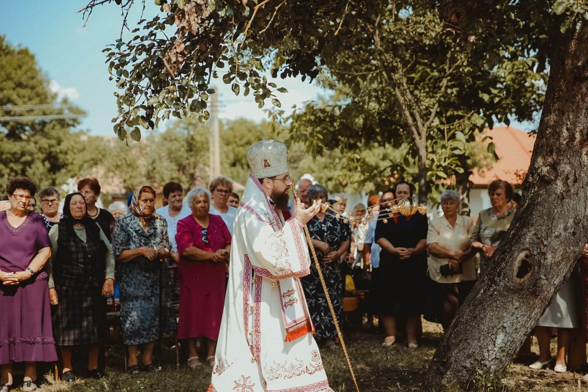 Slujiri arhiereşti în Eparhia Vadului, Feleacului și Clujului 220155