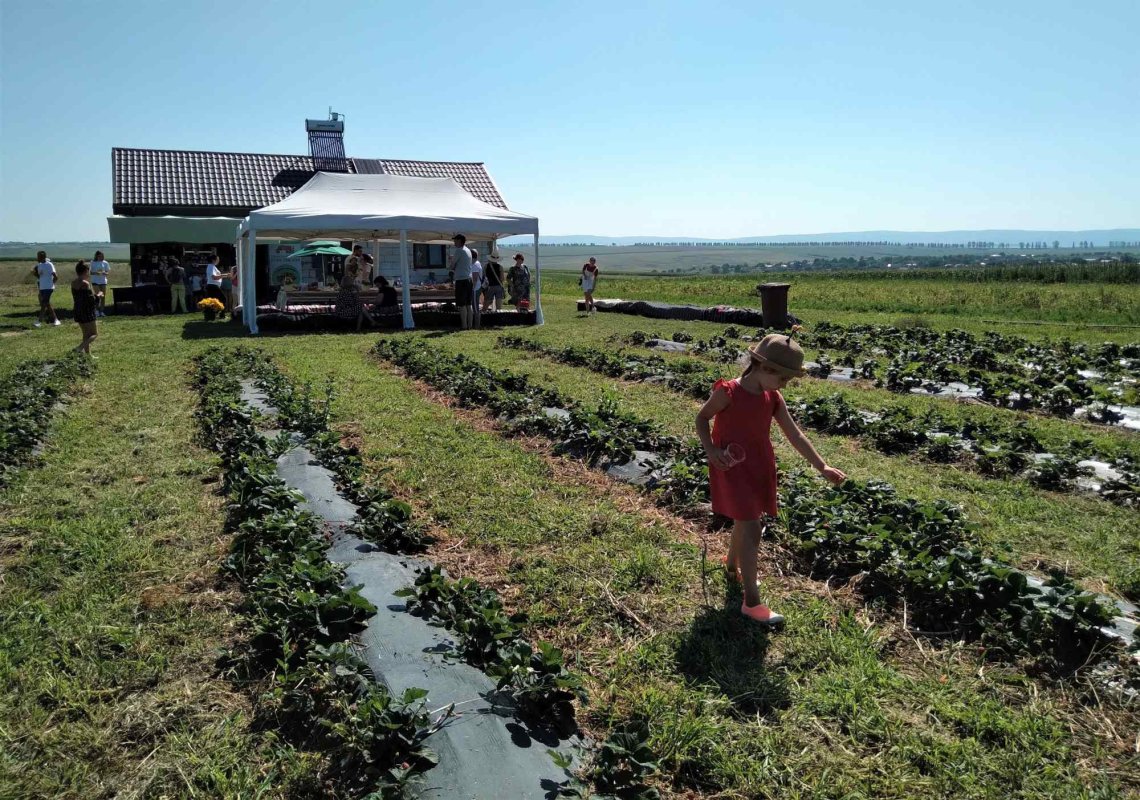 Pentru a mânca sănătos, consumatorii trebuie să se informeze 220286