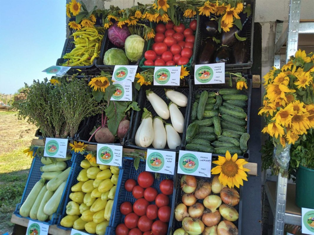 Pentru a mânca sănătos, consumatorii trebuie să se informeze 220287