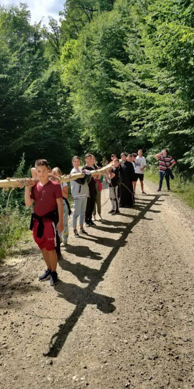 Tabără gratuită în zona Buzăului pentru elevi din Oltenița  220885