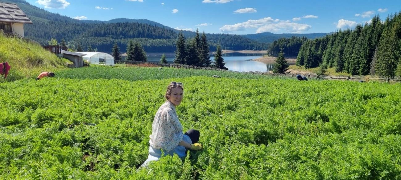 Ediția a patra a Taberei Internaționale de la Mănăstirea Oașa 221027