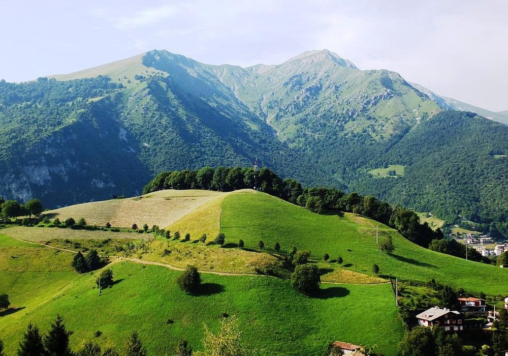 Natura, frumusețea creaţiei divine  220990