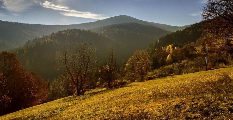 Natura, frumusețea creaţiei divine  220991