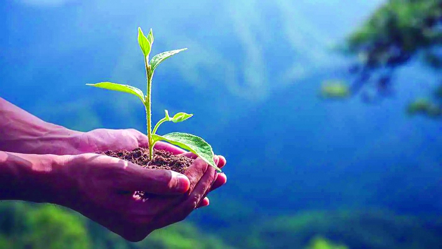 Ce lume lăsăm copiilor noștri? 221381