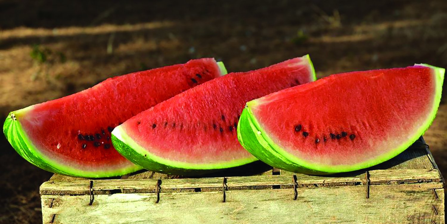 Pepenii, cei mai buni detoxifianți  221388