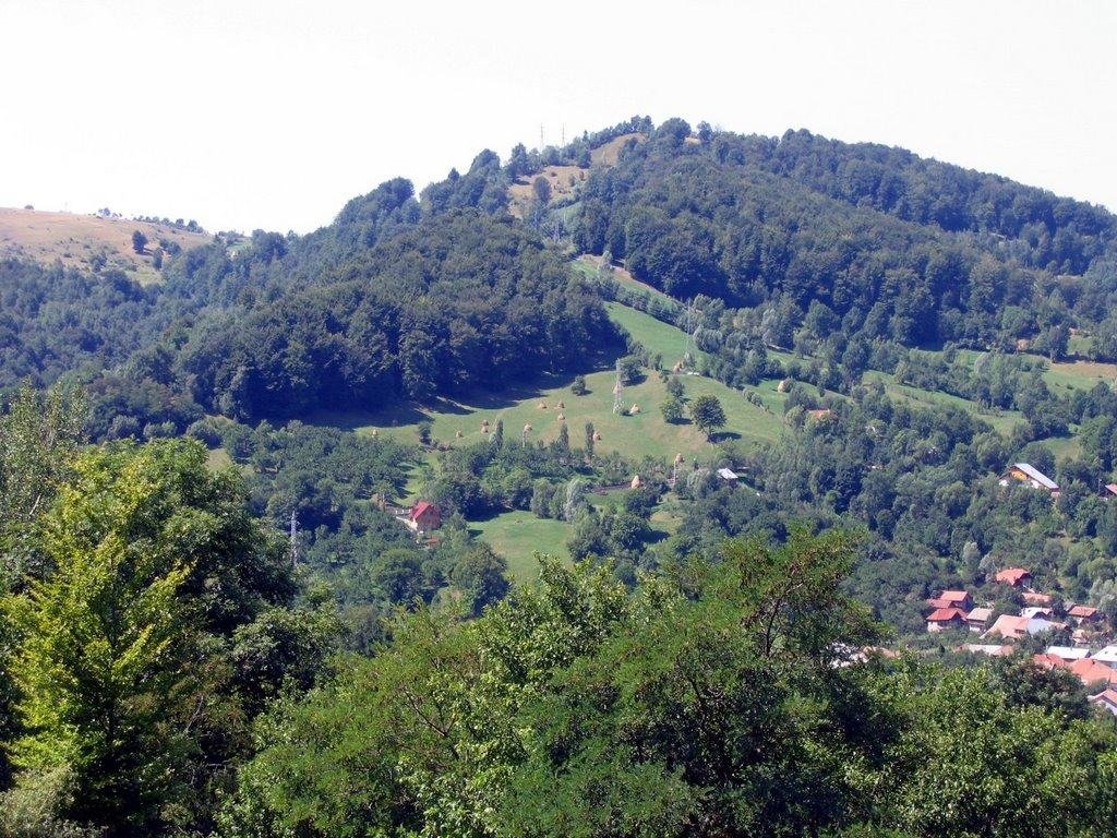 O altfel de pastorație, sau alături de un preot de țară 221527