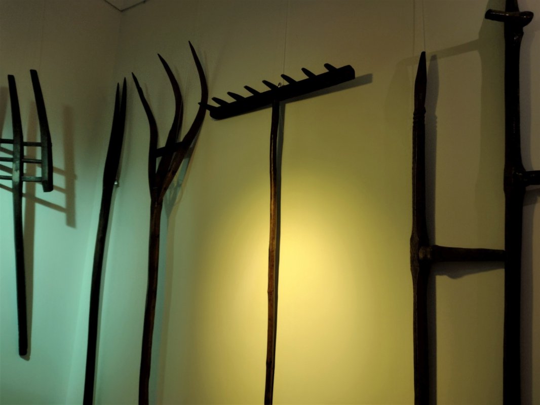 O călătorie iniţiatică în civilizaţia lemnului 221504