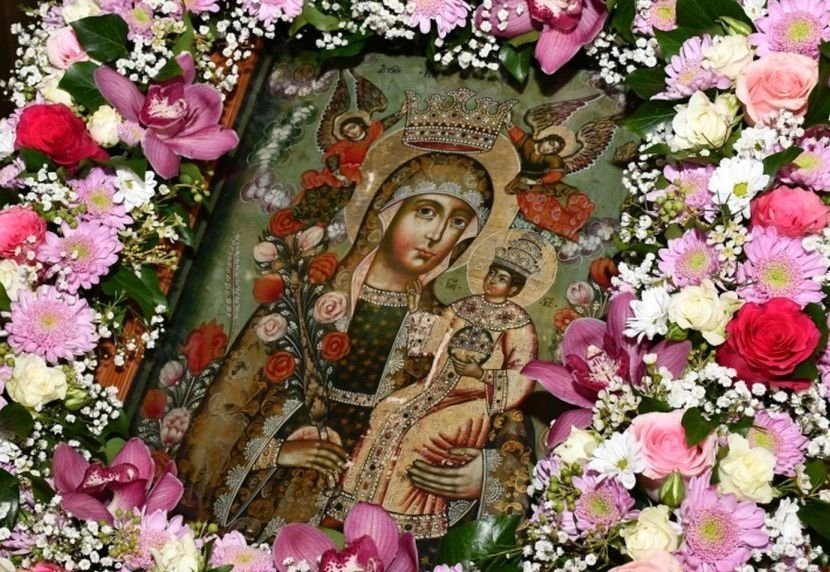 „Mic trandafir al nisipurilor...” 222061