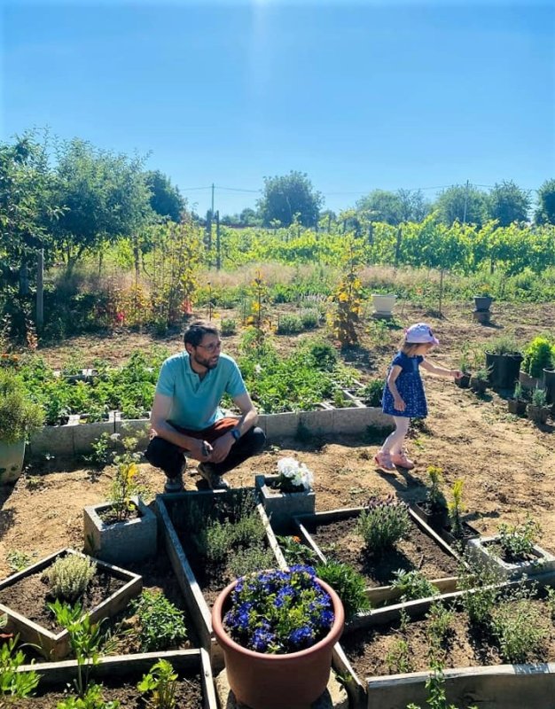 Roadele curate din Cămara lui Vasile 221920