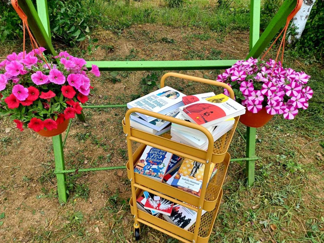 Roadele curate din Cămara lui Vasile 221921