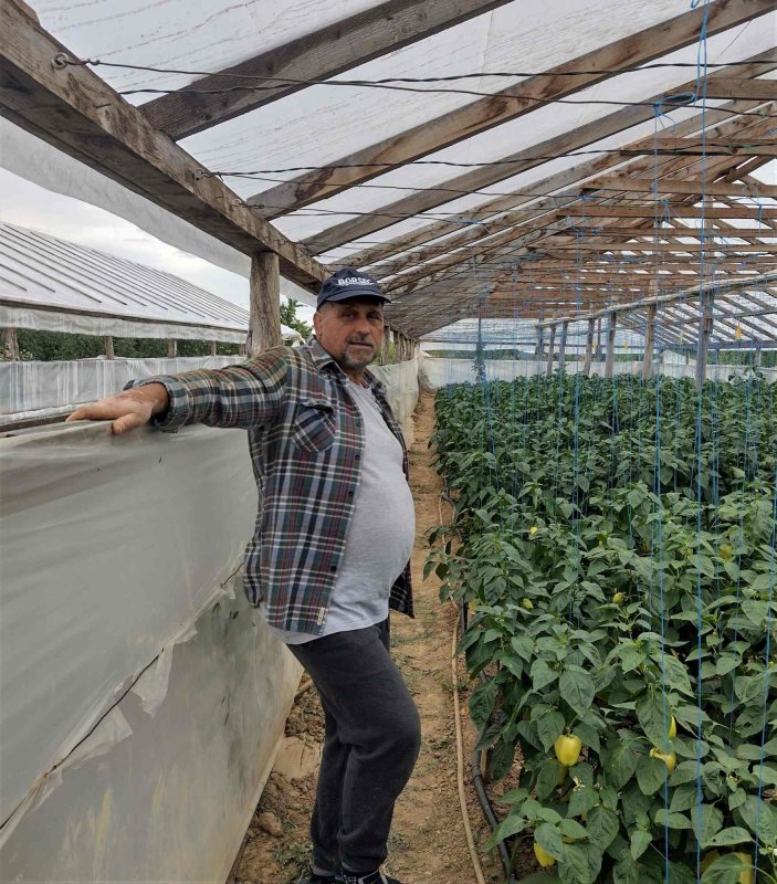 Roadele curate din Cămara lui Vasile 221923