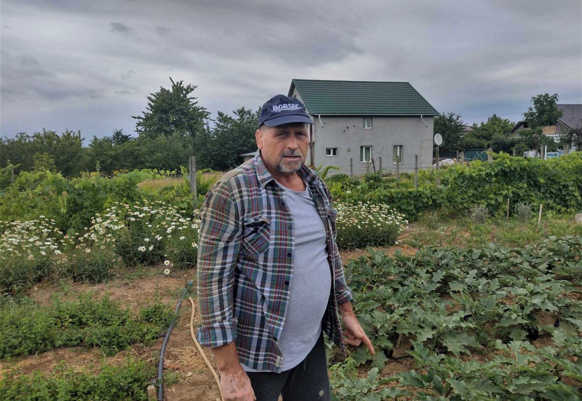 Roadele curate din Cămara lui Vasile 221928