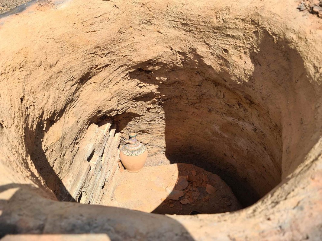 Pasărea Phoenix a olăritului  de la Tansa 222158