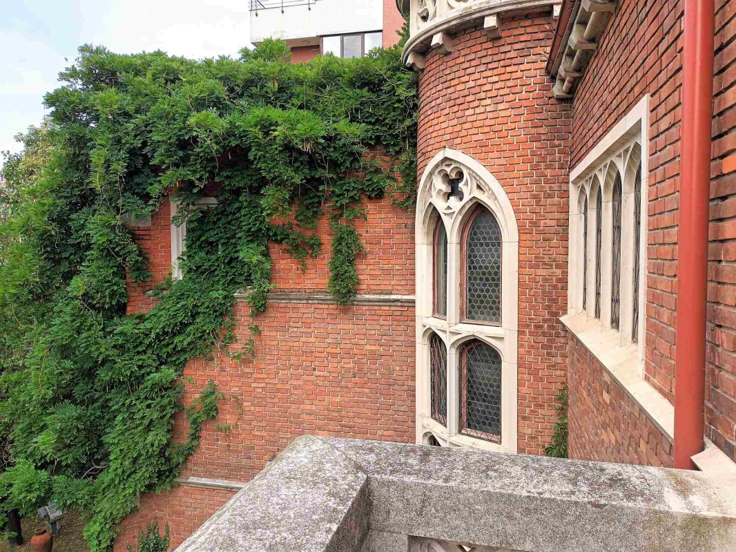 Ocolul artei vechi în 80 de ani 222328