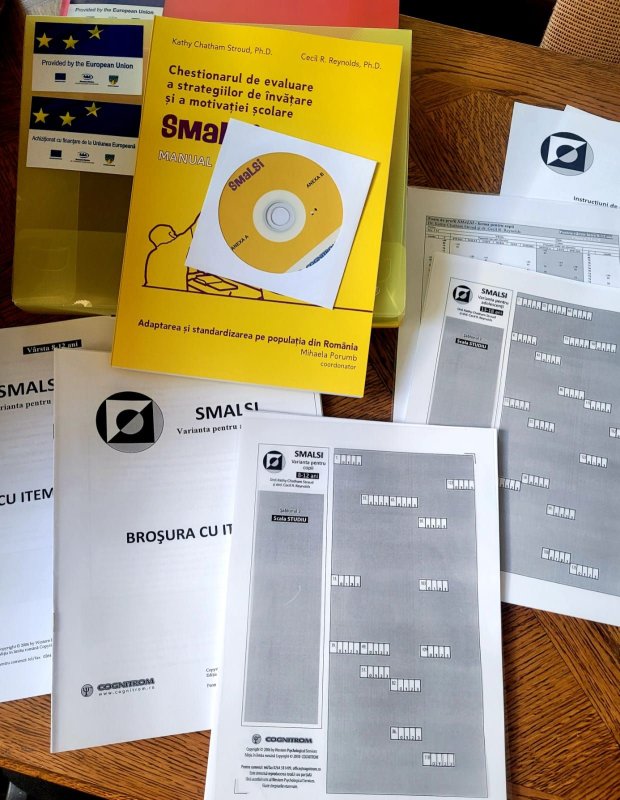 Teste standardizate pentru evaluarea copiilor cu CES din Suceava 222482