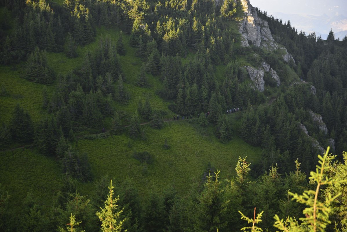 Slujire arhierească pe „Taborul României” 222661