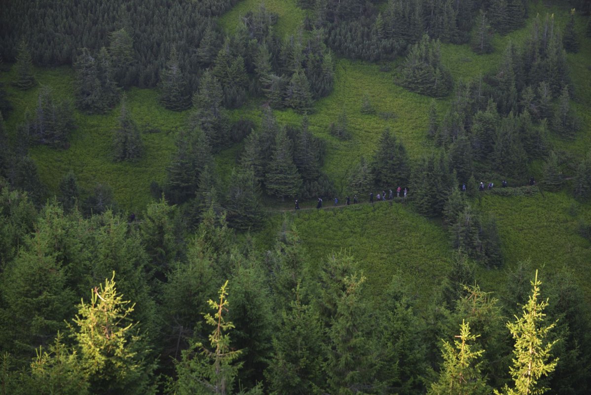Slujire arhierească pe „Taborul României” 222662