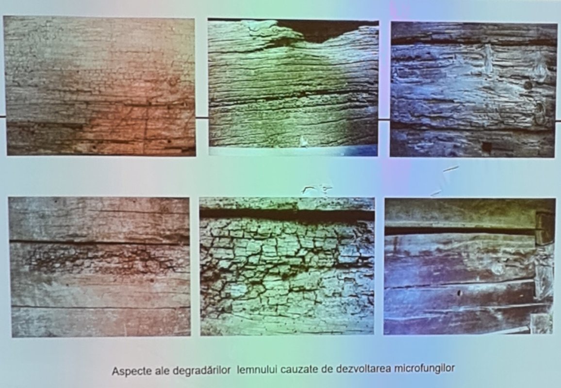 Bisericile de lemn din județul Iași, inventariate digital 223058