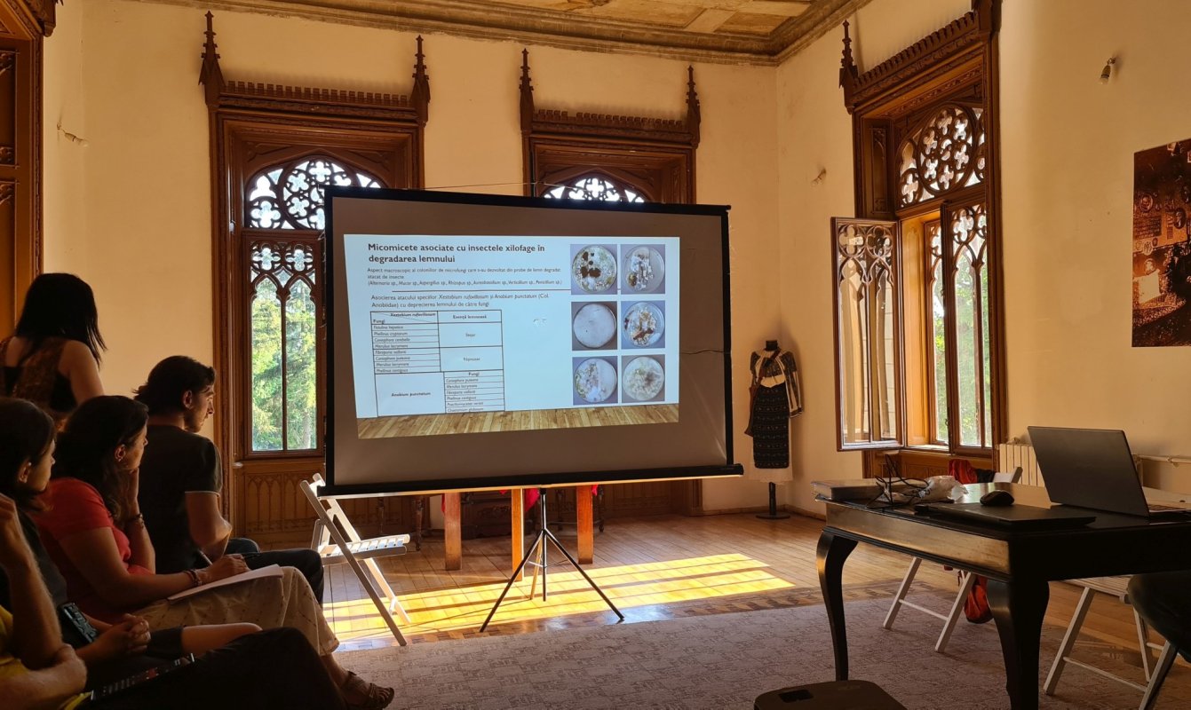 Bisericile de lemn din județul Iași, inventariate digital 223068