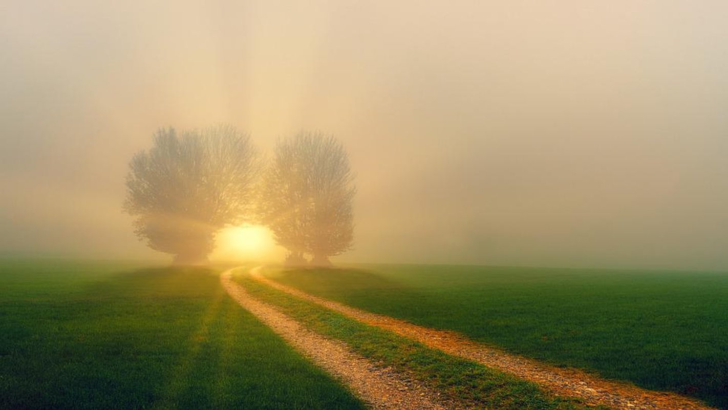 Cultivă speranța şi rezilienţa! 223174