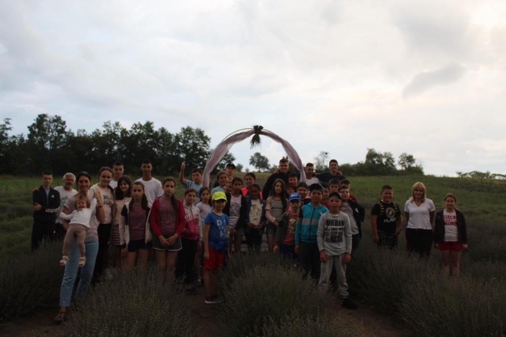 Tabără de pictură şi creaţie pentru copii la Bărcut, judeţul Braşov 223347