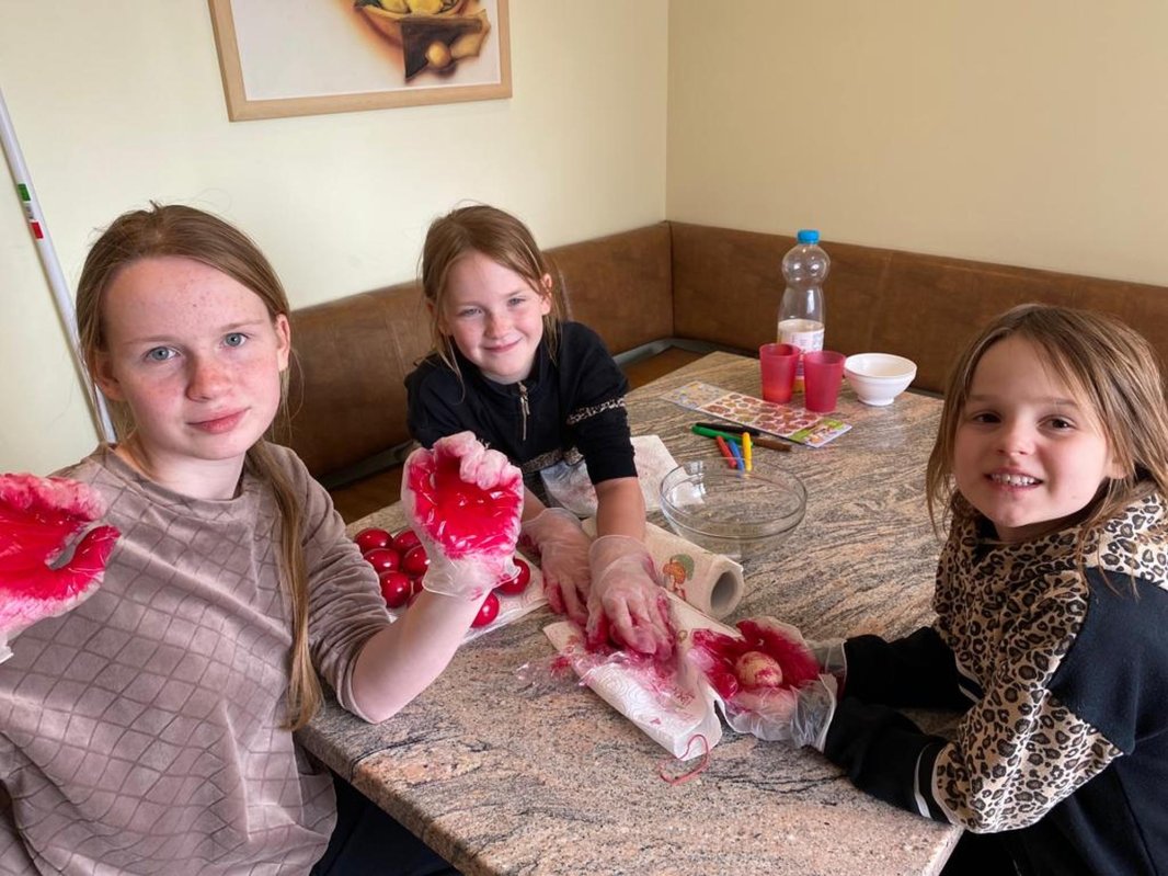 Diaspora românească și ce mai înseamnă „acasă” 223588