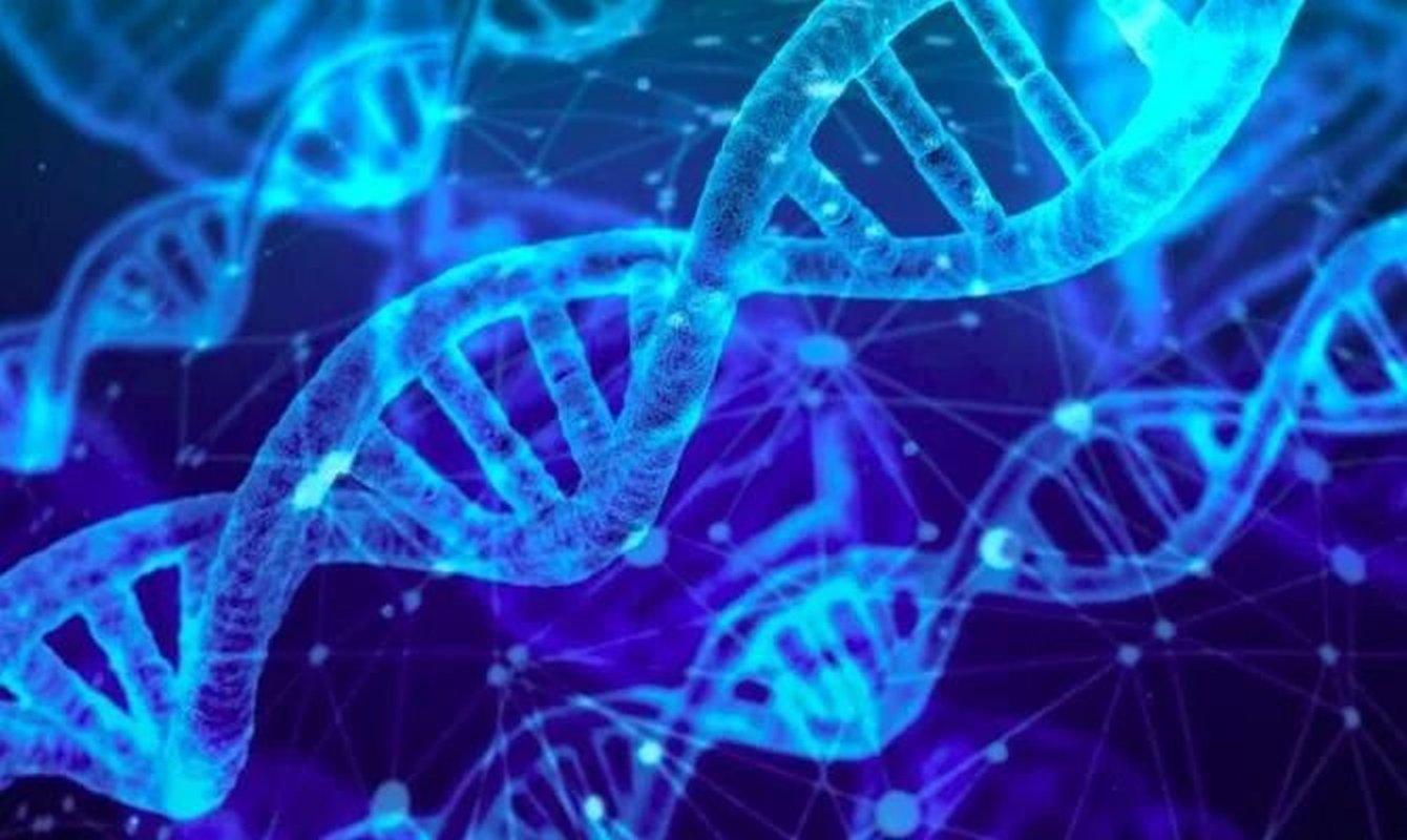 Terapie pentru o formă rară de limfom 224198