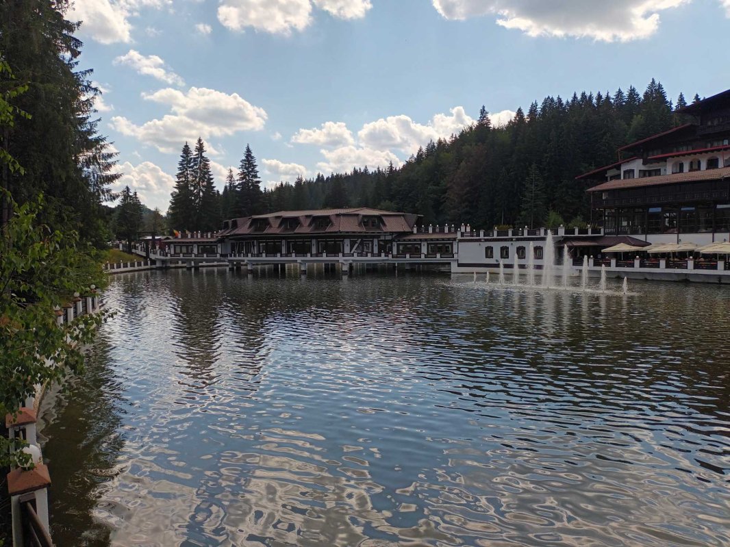 Coroana Transilvaniei 224459