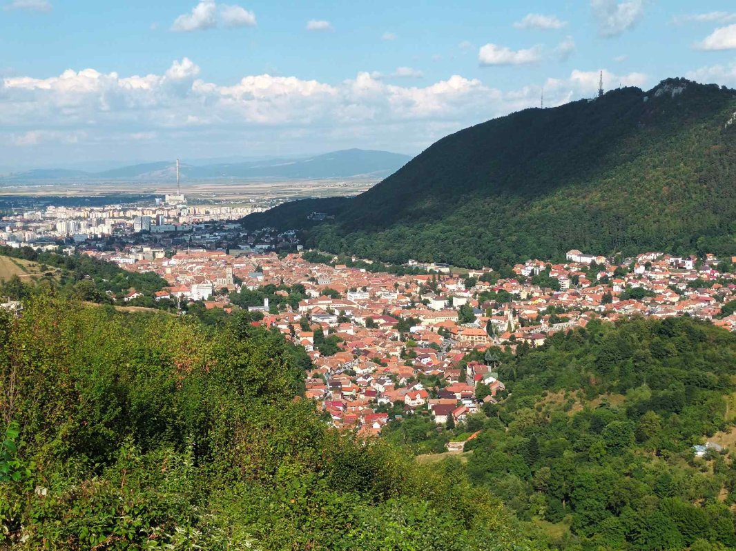 Coroana Transilvaniei 224460