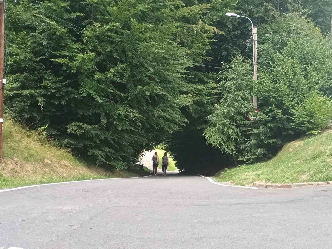 Coroana Transilvaniei 224465