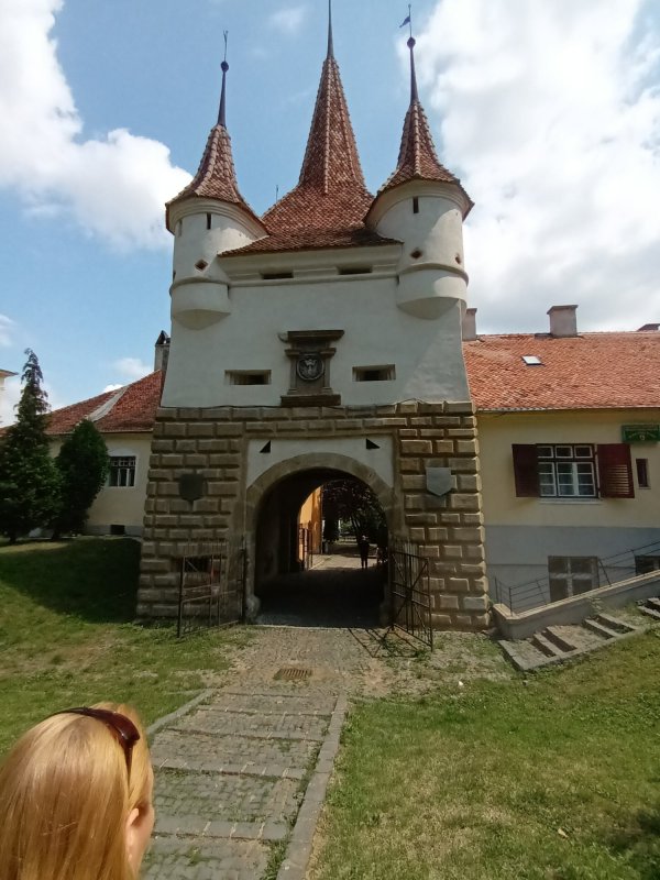 Coroana Transilvaniei 224475