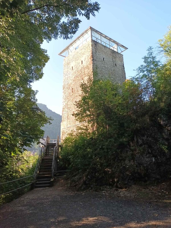 Coroana Transilvaniei 224476