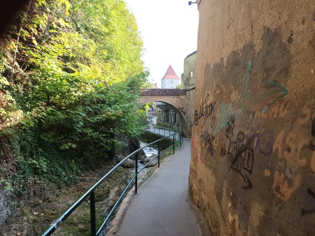 Coroana Transilvaniei 224478