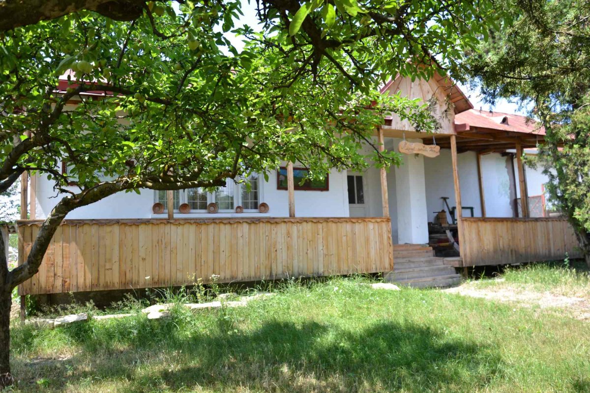 Tansa, locul repus pe hartă de propria poveste 224722