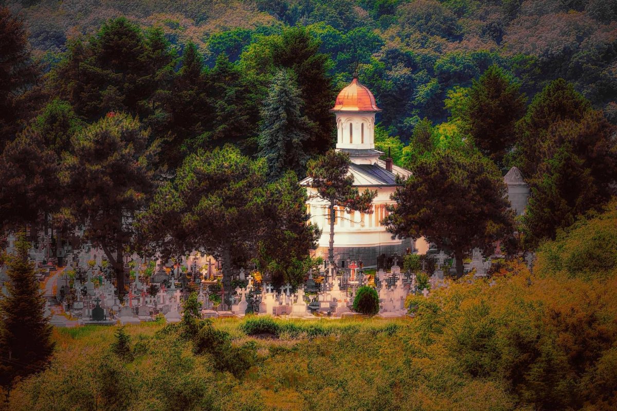 Fotografii artistice ale Publicațiilor Lumina 224882