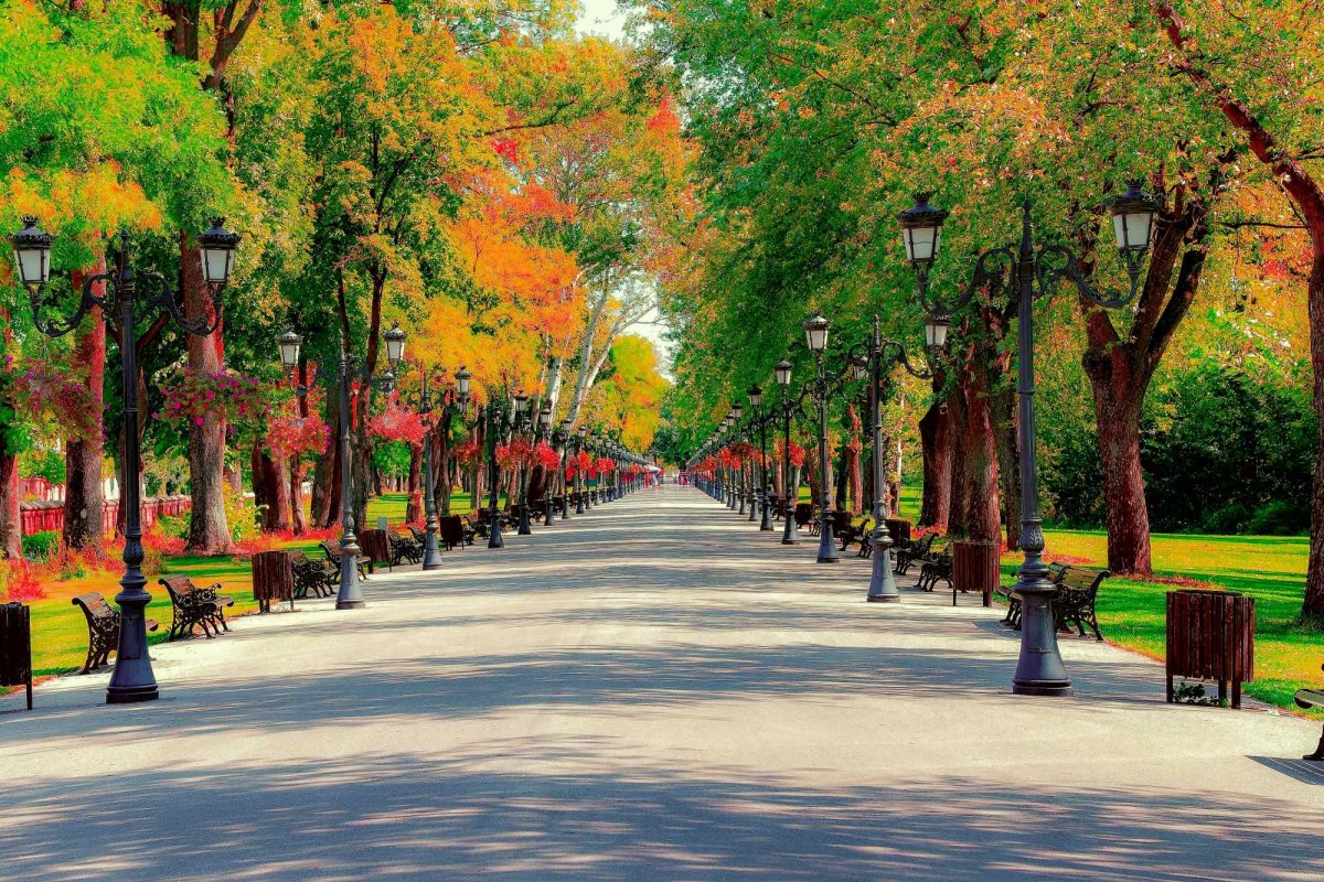 Fotografii artistice ale Publicațiilor Lumina 224884