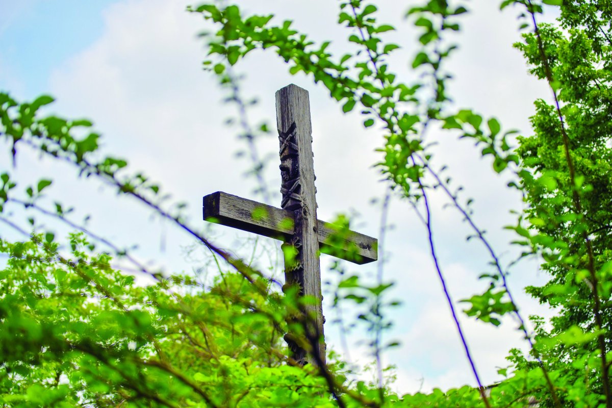 Partea cea bună care nu se va lua de la noi prin moarte 224878