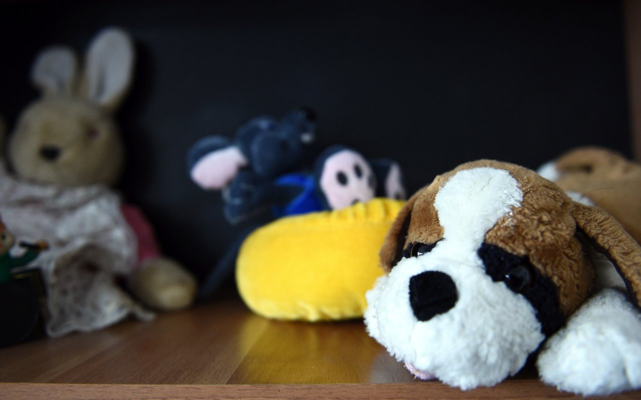 Târg caritabil de jucării în Herăstrău 224898